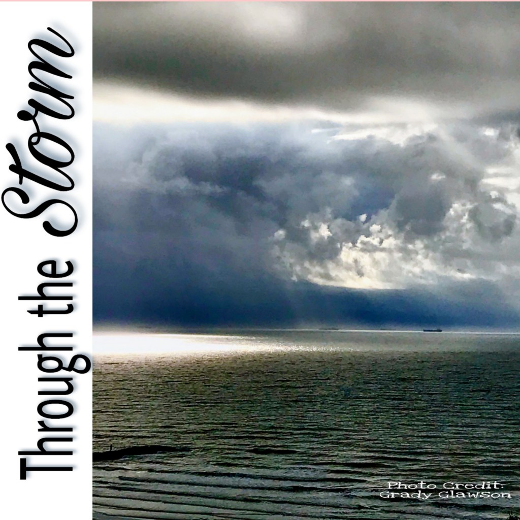 Through the Storm
