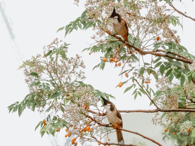 Practicing Joy Through Patience in&nbsp;Growth