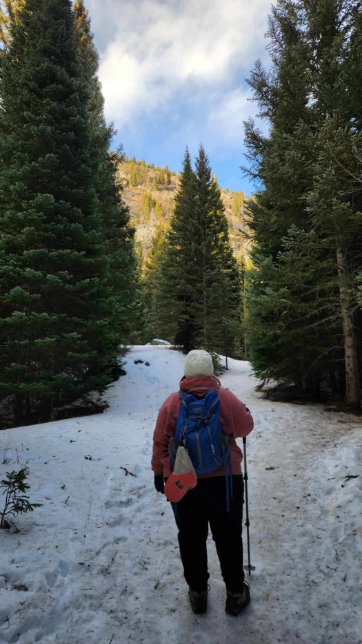 A Christmas Tree&nbsp;Tale